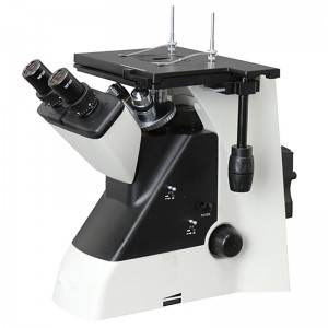 1--BS-6003B Microscopio metallurgico invertito