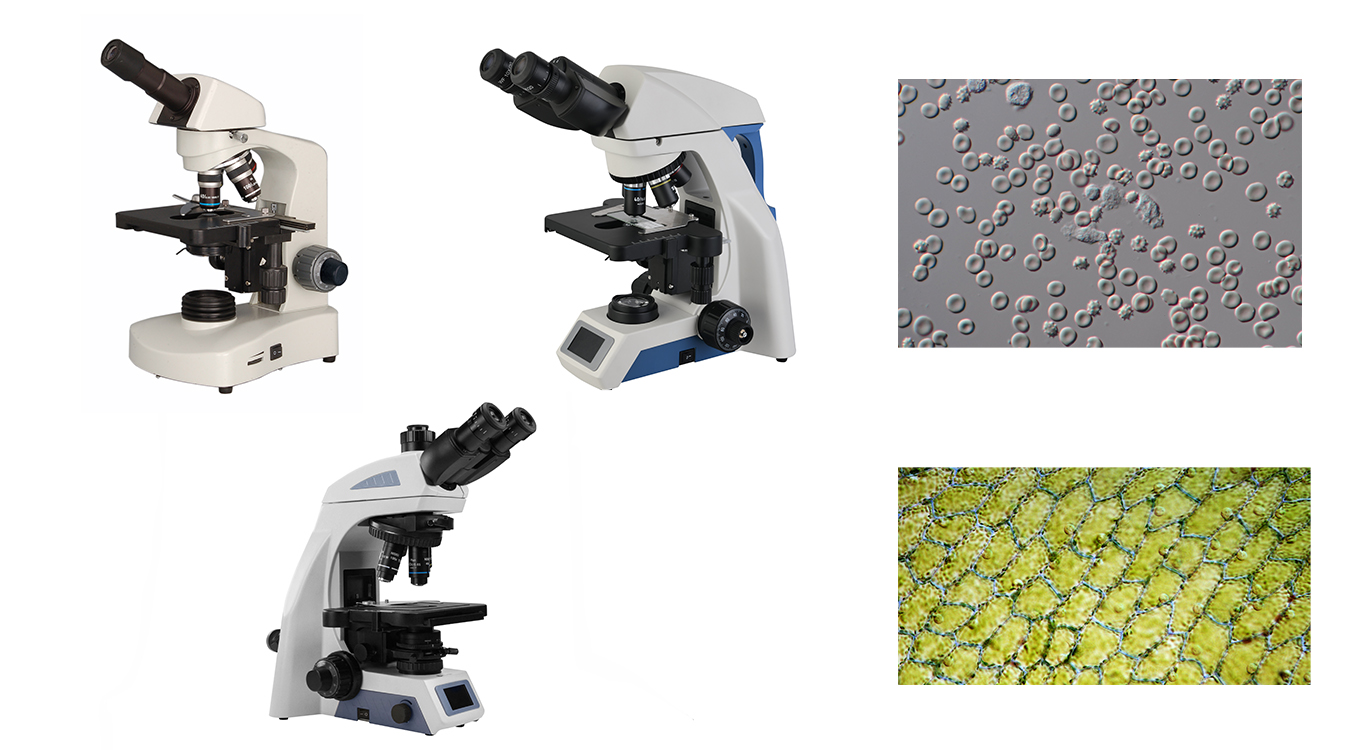 1. میکروسکوپ بیولوژیکی