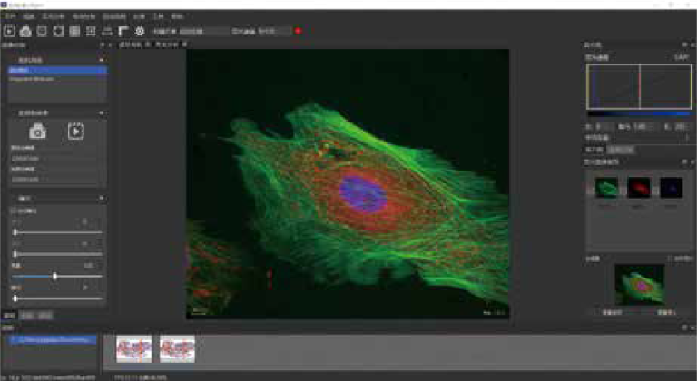 Fluorescent synthesis