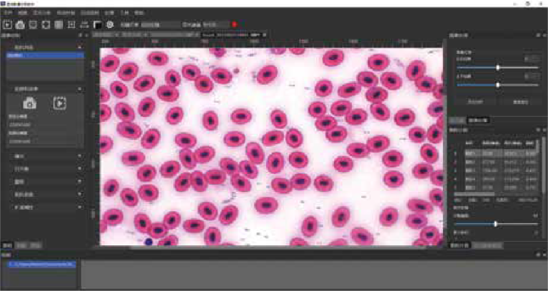 Cell counting