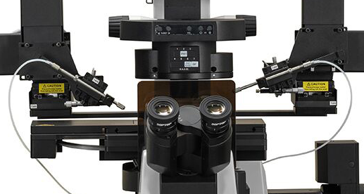 Flexible and adjustable motion