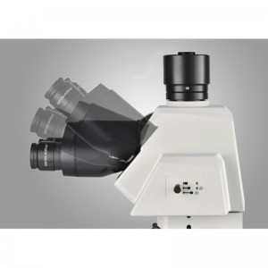 Tête de microscope métallurgique droit de recherche 22-BS-6024
