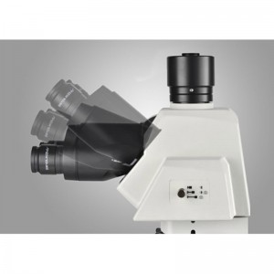 22-BS-6024 သုတေသနပြုချက် Upright Metallurgical Microscope Head