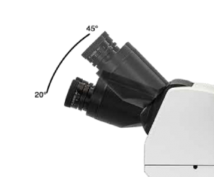 Elevation adjustable viewing head