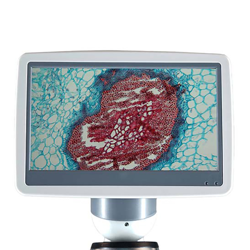 BLM-205 LCD Digital Biologis Mikroskop Screen