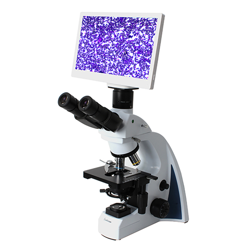 Microscópio biológico digital BLM2-241 LCD