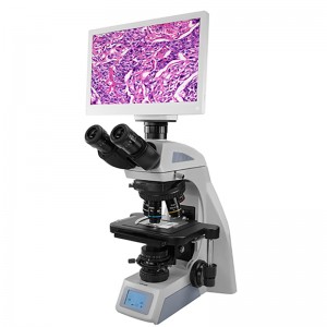 BLM2-274 microscopia biologica