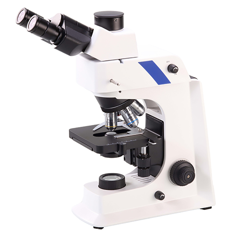 BS-2036F2T(LED) LED Fluorescent Biological Microscope