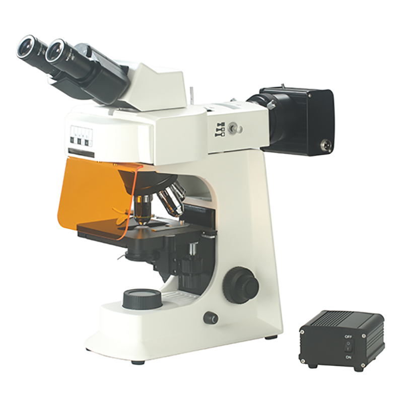 BS-2036FB (LED) miocroscop bith-eòlasach flùraiseach