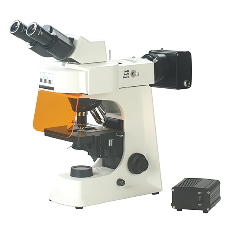 BS-2036FB(LED) Fluorescent Biological Microscope