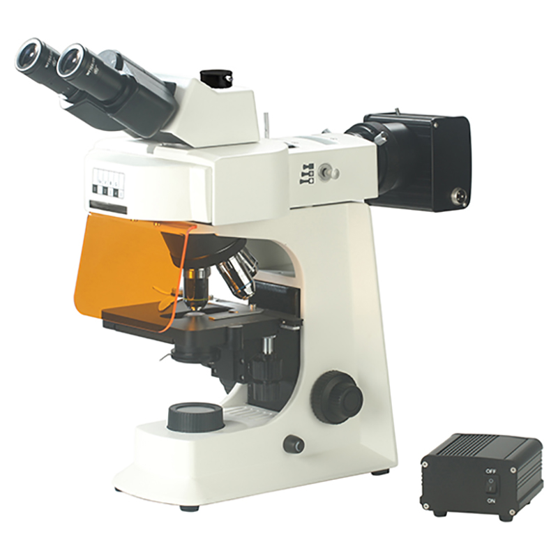 Microscópio biológico fluorescente BS-2036FT (LED)