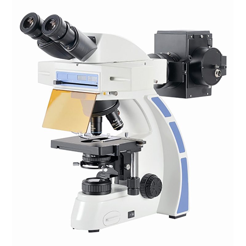 BS-2044FB Biological Microscope