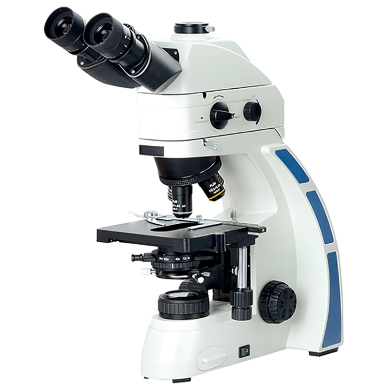 I-BS-2044FT(LED) ye-Biological Microscope