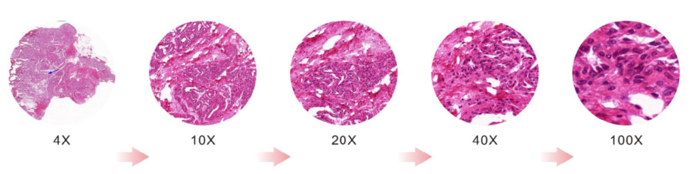 BS-2053,2054 Éifeacht luminance