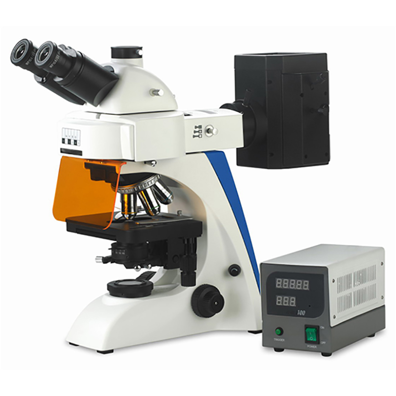 BS-2063FT Floresan Mikroskop