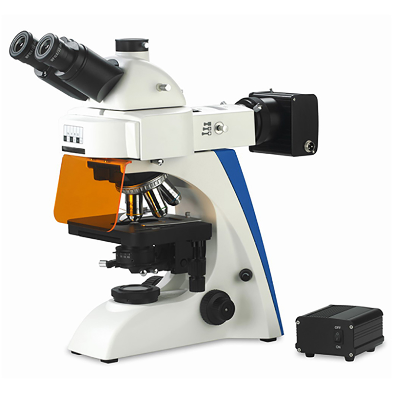 Microscope à fluorescence LED BS-2063FT(LED)