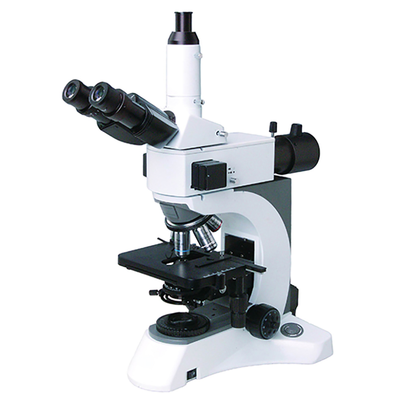 BS-2080F(LED) lyuminestsent biologik mikroskop