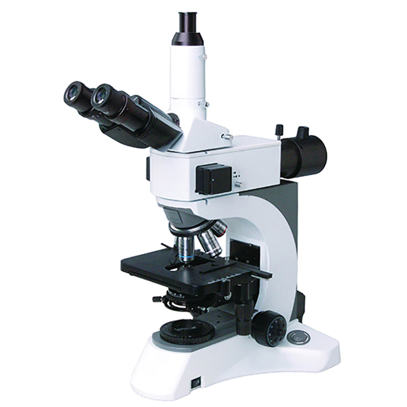 BS-2080F(LED) Fluorescent Biological Microscope