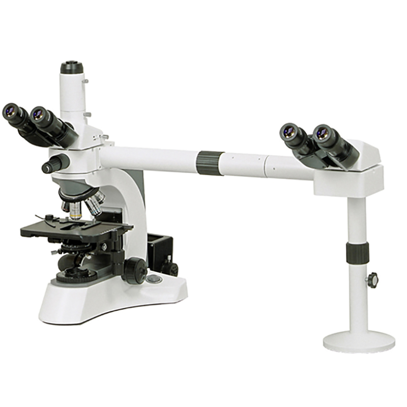 BS-2080MH4 Multi-caput Microscopium