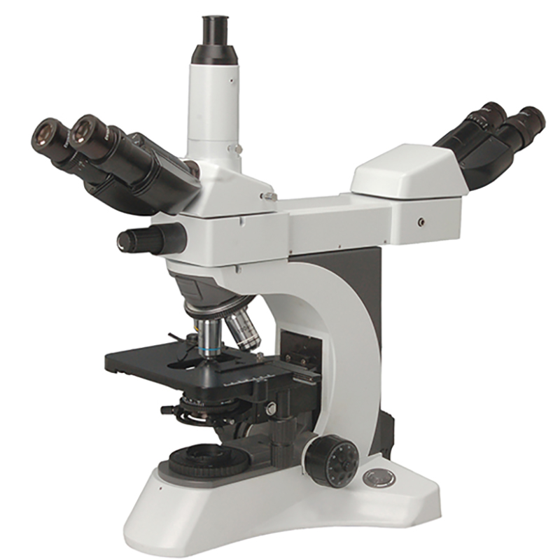 BS-2080MH4A Multi-capitis Microscopii