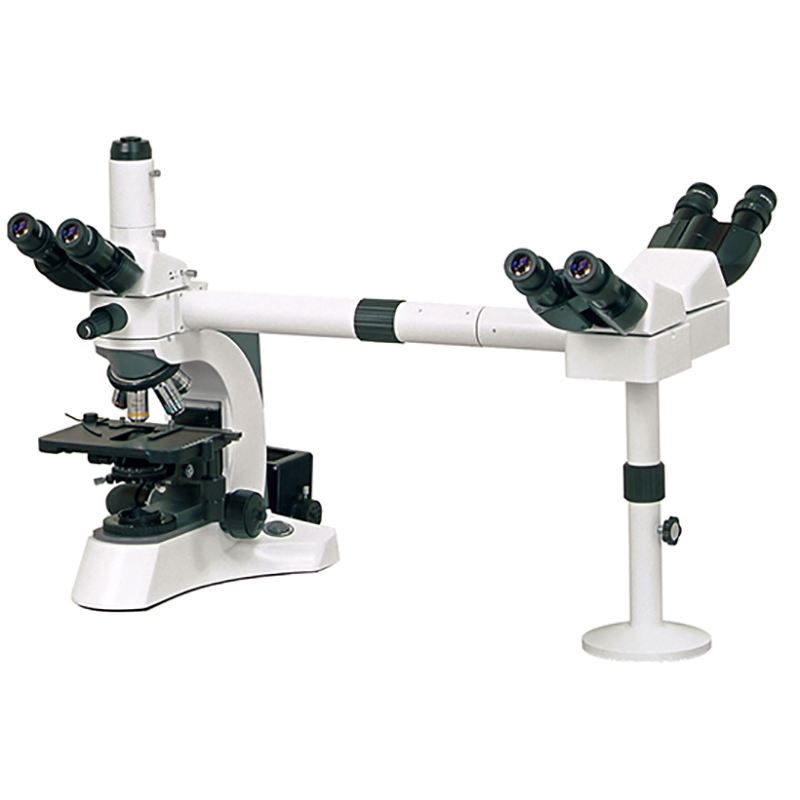 Microscopi multicapçal BS-2080MH6