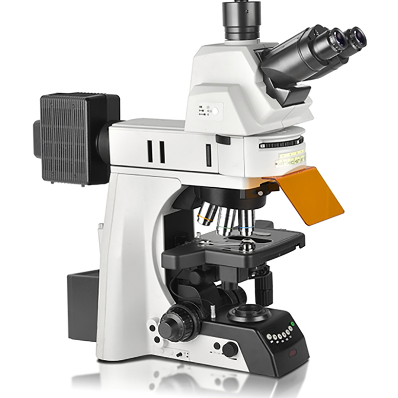 BS-2083F tutkimusfluoresoiva biologinen mikroskooppi