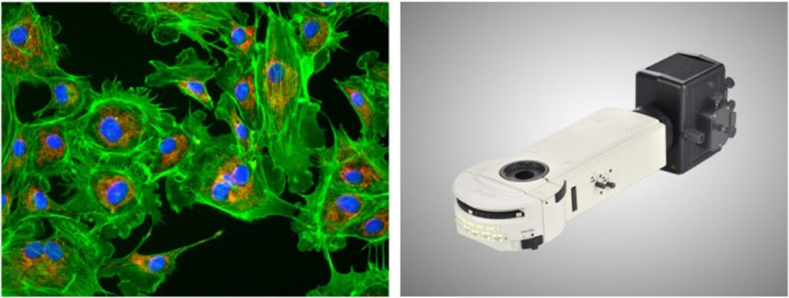 Visualización fluorescente BS-2085