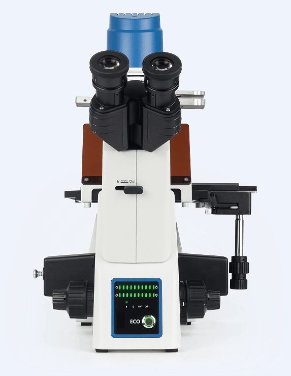 BS-2091 frontal