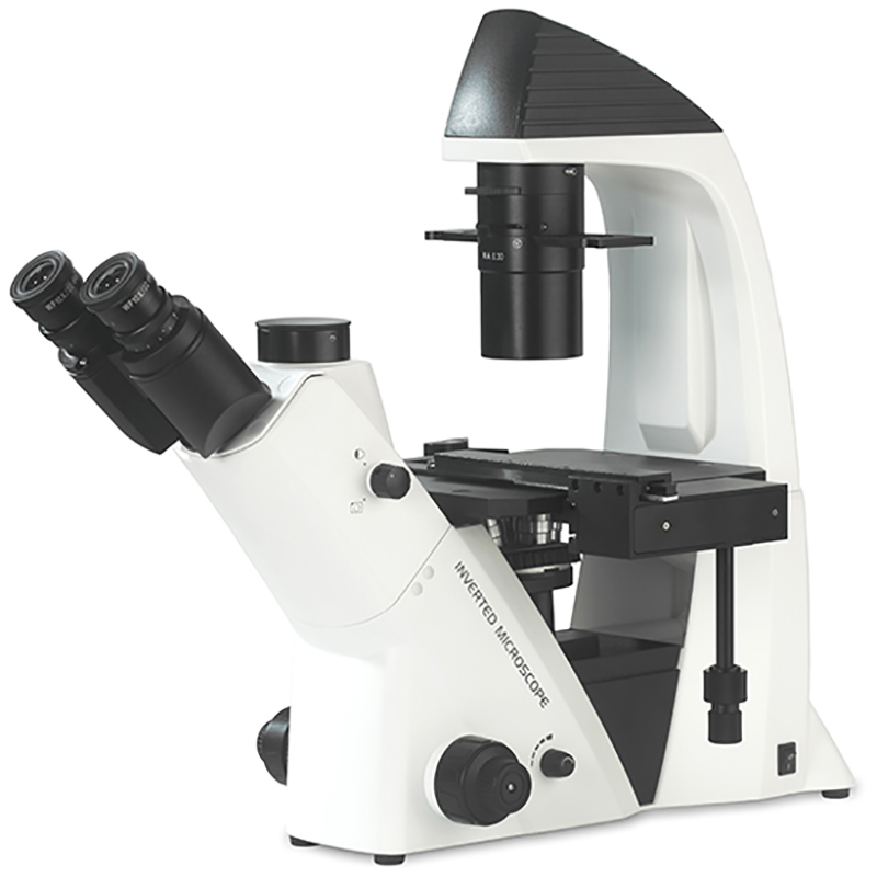 BS-2093A Mikroskop Biologi Terbalik