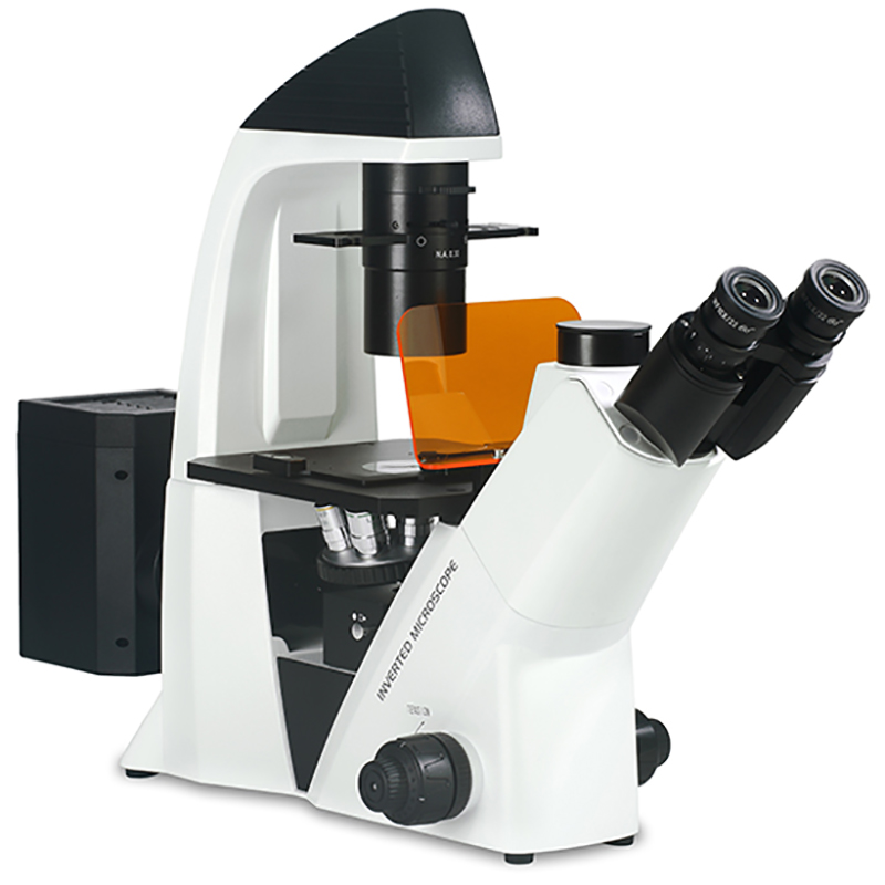 Інвертований біологічний мікроскоп BS-2093AF