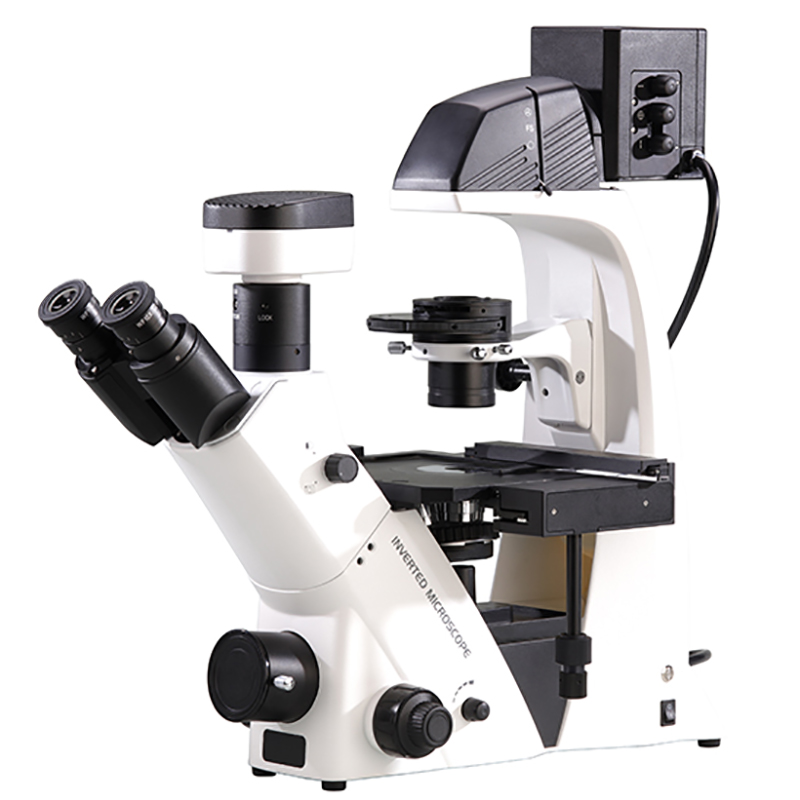 BS-2093B ინვერსიული ბიოლოგიური მიკროსკოპი