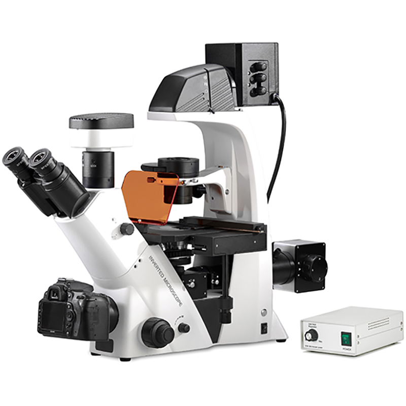 Microscopio biológico invertido BS-2093BF (LED) 1