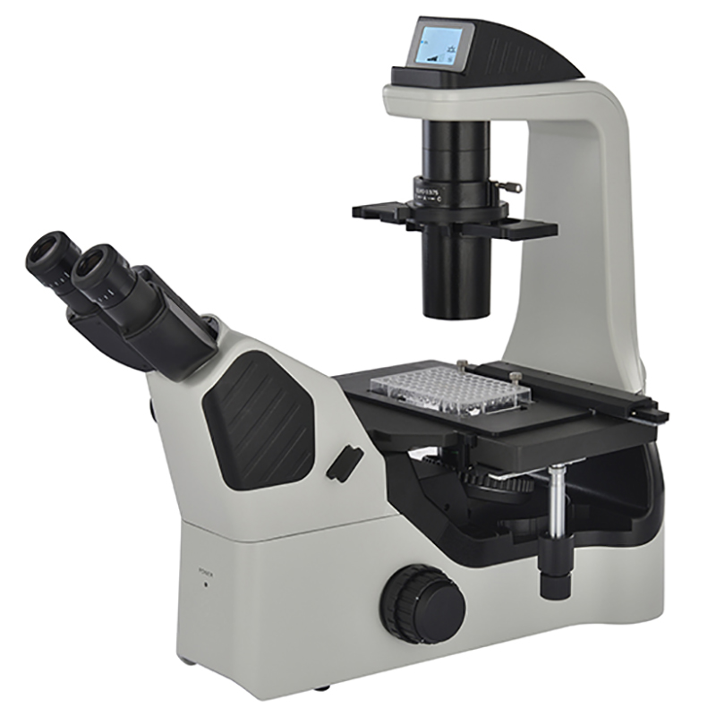 Microscope biologique inversé BS-2094B