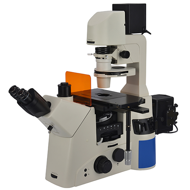 BS-2095F apverstas fluorescencinis mikroskopas
