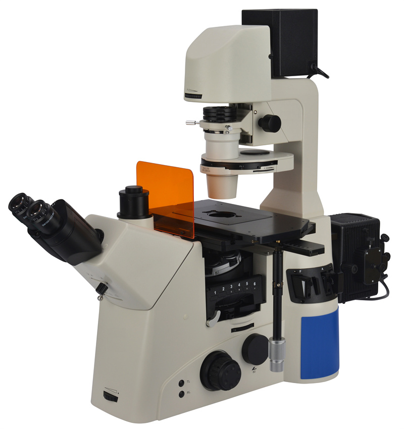 Invertovaný fluorescenčný mikroskop BS-2095F