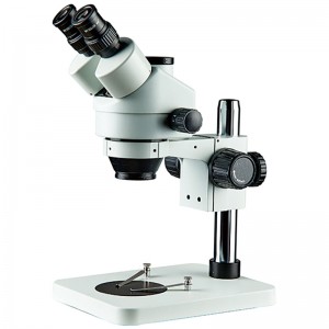 Microscopio estéreo con zoom BS-3025T1--1