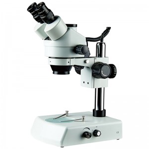 Microscopio estéreo con zoom BS-3025T2--2