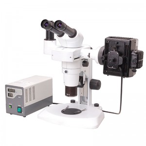 Microscopi estèreo amb zoom BS-3060F222