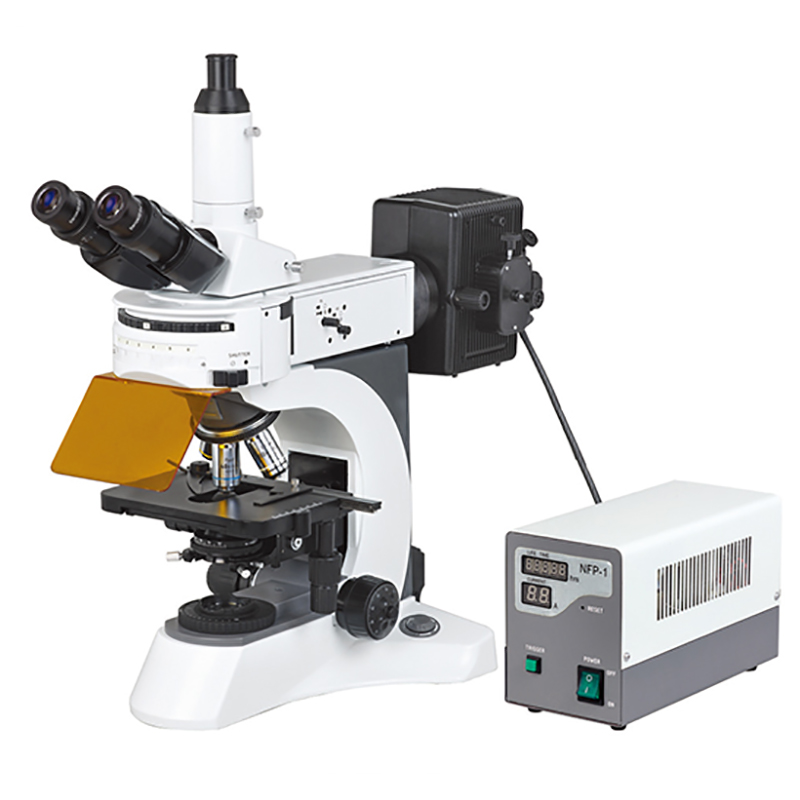 Microscope biologique fluorescent vertical BS-7000A
