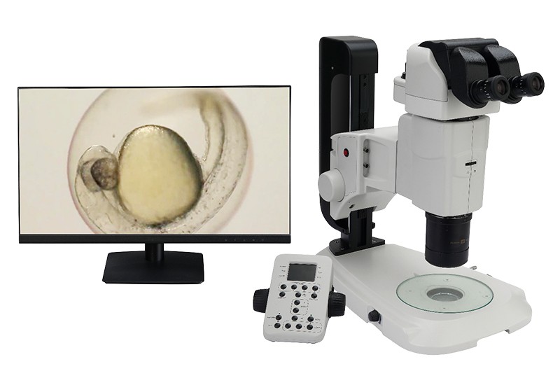 BS-3090M Motorized Research Zoom Stereo Microscope (၁) ခု၊