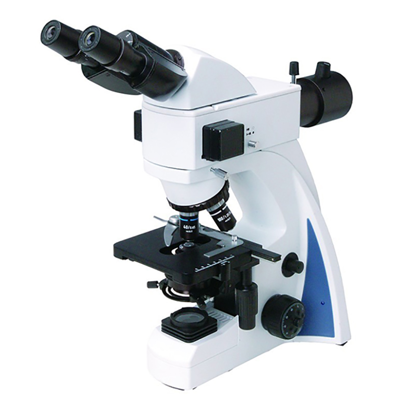 BS-2040FB(LED) Fluorescent Biological Microscope