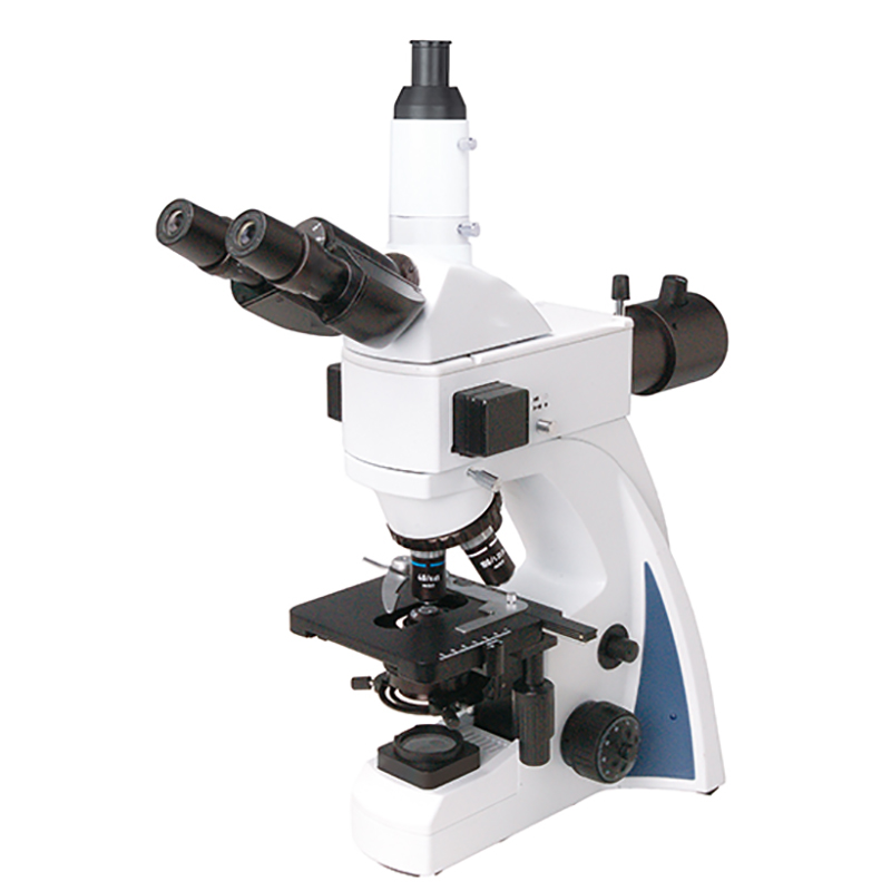 BS-2040FT(LED) Fluorescent Biological Microscope