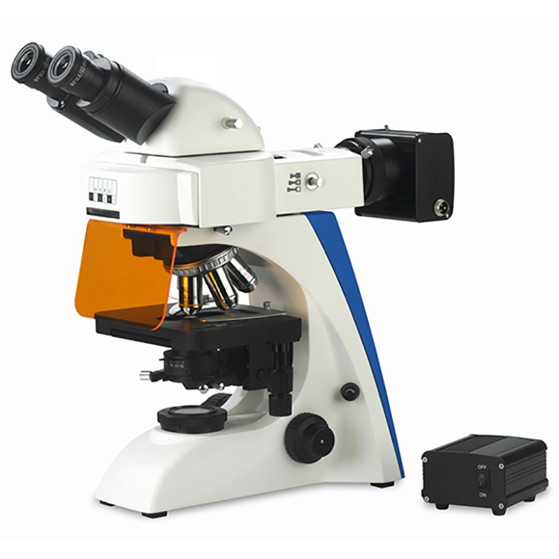 BS-2063FB(LED) LED Fluorescence Microscope