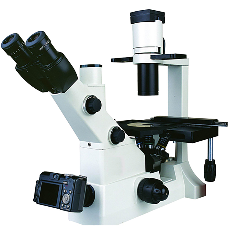 BS-2092 Inverted Biological Microscope