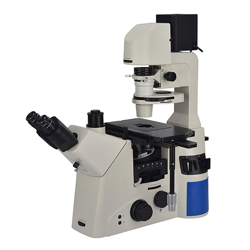 BS-2095 inverted microscope