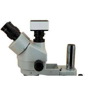 BS-3025T1(500) Digital Zoom Stereo Microscope Head