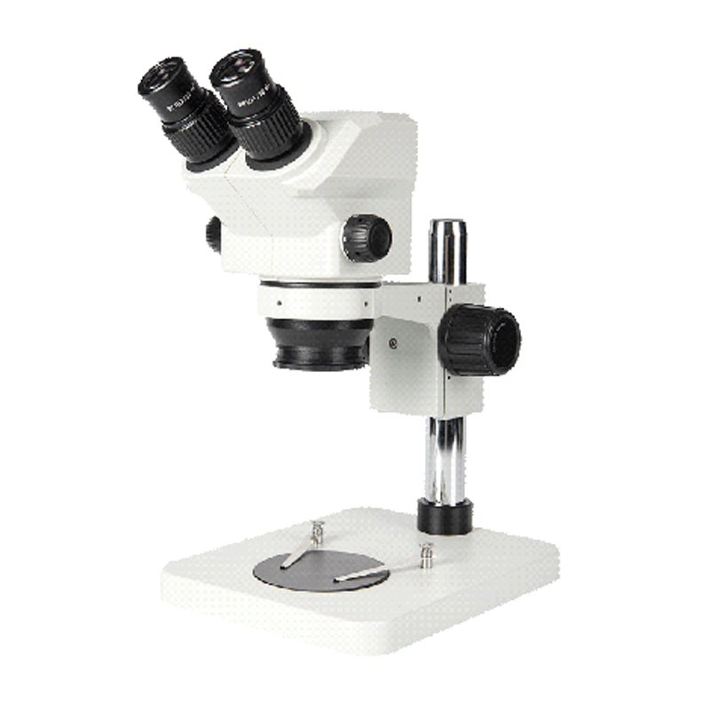 BS-3028B1 Zoom Stereo Microscope
