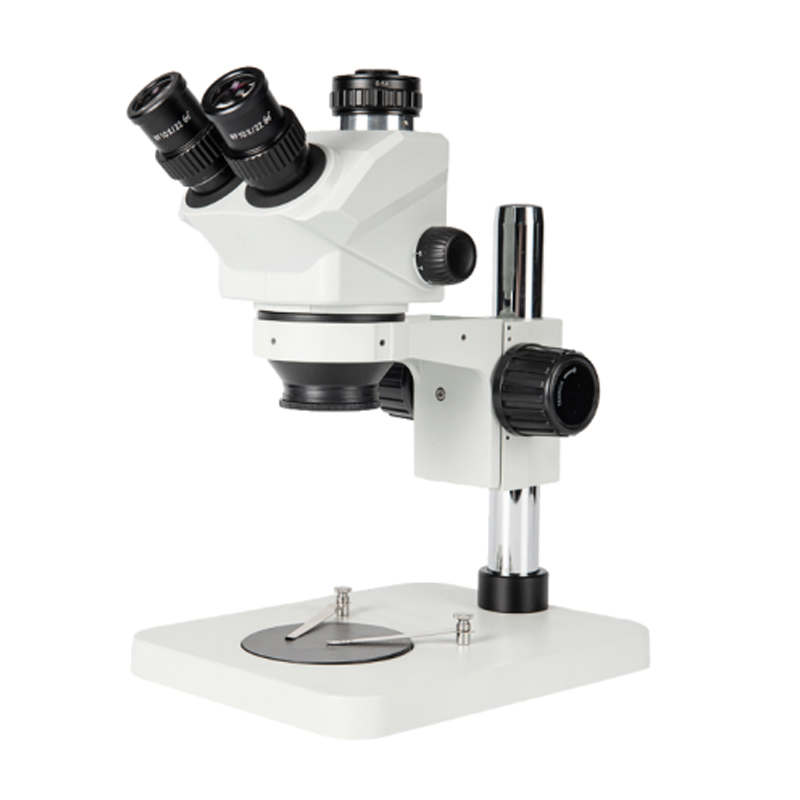 BS-3028T1 Zoom Stereo Microscope